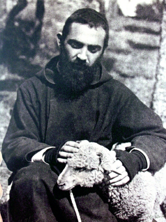 padre pio pecorella.jpg